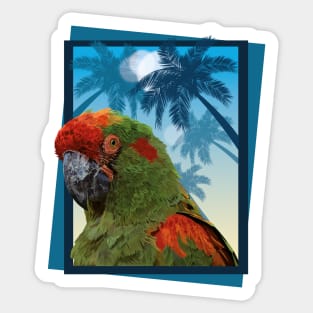 Red-fronted macaw Sticker